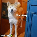 Mila - firefliesirl OnlyFans Leaks (48 Photos) - NudoStar