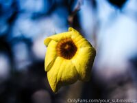 your_submissive_doll Onlyfans Leaks Nude Album - Latest leaks