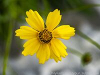 your_submissive_doll Onlyfans Leaks Nude Album - Latest leaks