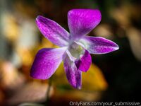 your_submissive_doll Onlyfans Leaks Nude Album - Latest leaks