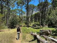 Belle Delphine Candid Holiday Photos Onlyfans Set Leaked