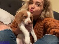 Thesaraames Onlyfans Latest Premium Leaks