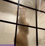 Ashley Ann Onlyfans Latest Nude Photo Leaks