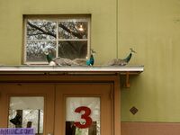 Ushna Malik Exclusive Onlyfans Leaked Nudes